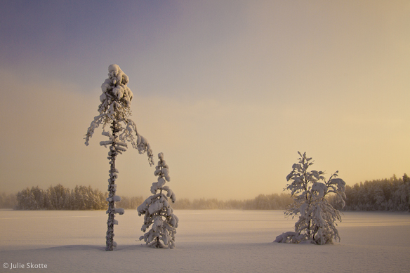 Orsa winter landscape