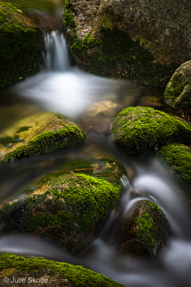 Small detail from the Podgórna waterfall in Poland. The small rocks are covered en green algea and the water is slowly moving down stream between the rocks.