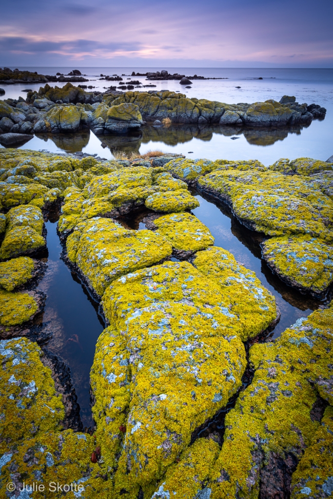 Rocky coast, lichens and sunrise