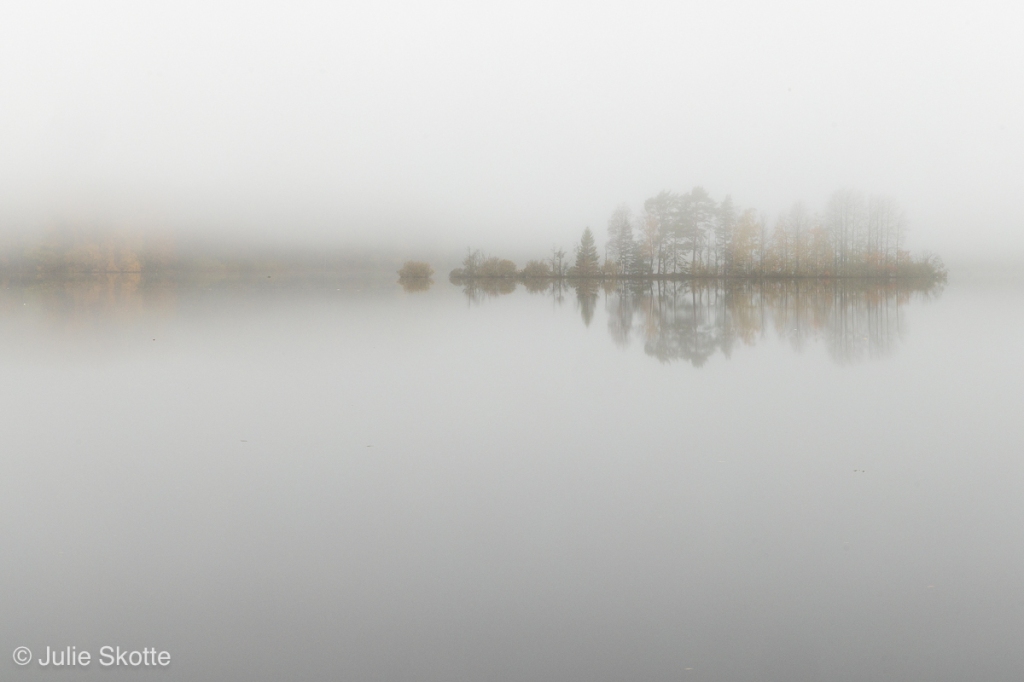 A foggy fall morning in Örnafälla, Sweden. A small island is visible in the fog.