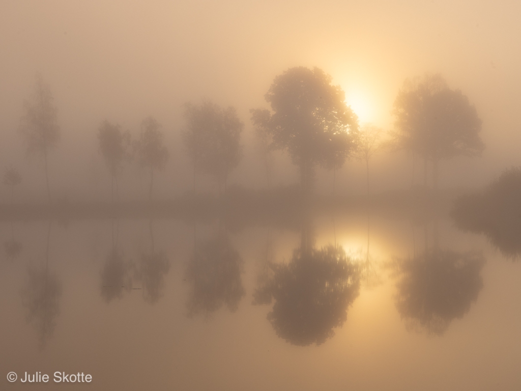 A foggy fall morning in Örnafälla, Sweden. Silhouette trees are mirrored in the water as the sun rises in the background. 
