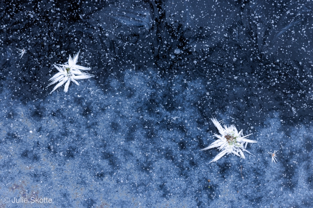 Rimfroststjerner på mørk blå is, der får det til at ligne en nattehimmel.