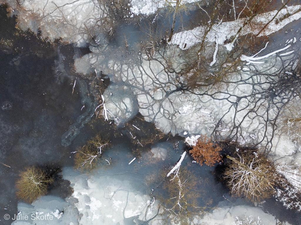 Drone image of a frozen forest lake with many dark canals in the ice.